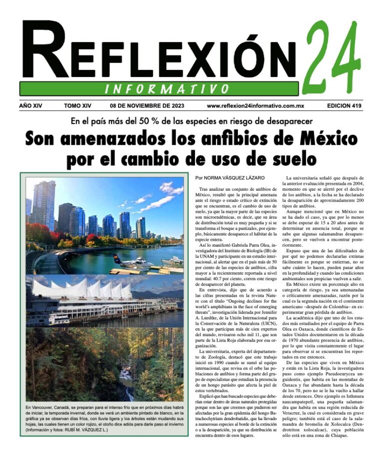 Reflexión 24 No 419 | Son amenazados los anfibios de México por el cambio de uso de suelo