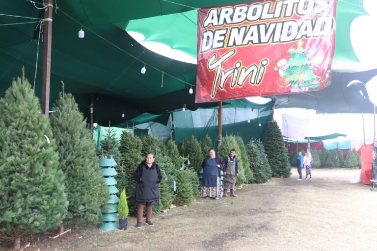 Se inaugura la Romería Navideña de la Central de Abasto de la Ciudad de México