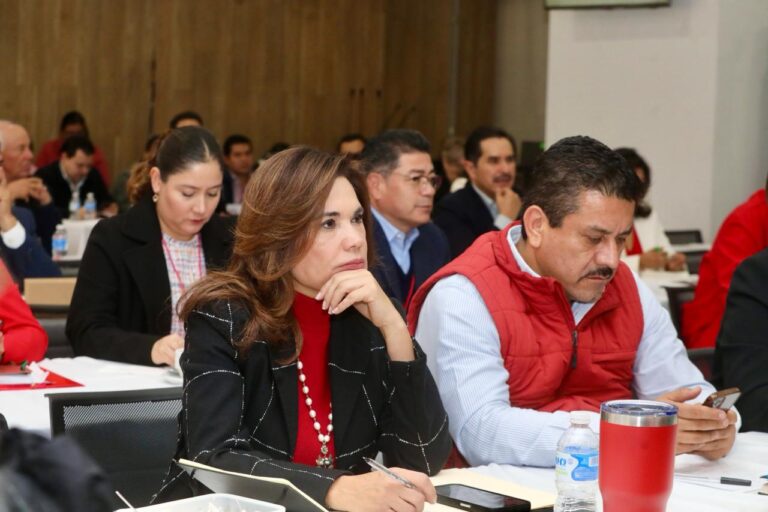 PRI impulsará iniciativas que ayuden a la gente y que no sean ” espejitos”: Blanca Alcalá