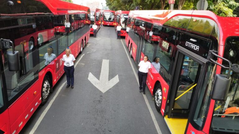 Más de 530 millones de pesos invertidos en las unidades eléctricas de la Línea 4 del MB