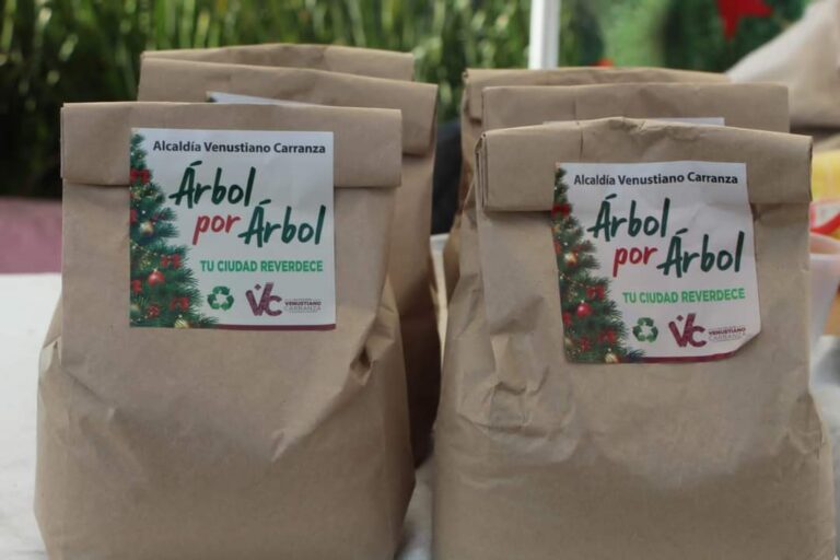 V. Carranza convertirá los árboles de navidad en abono para sus parques y plazas