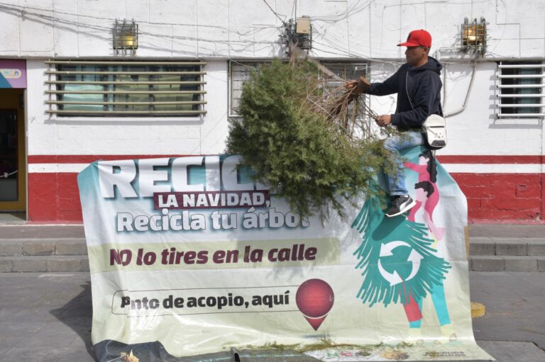 Para promover el cuidado del medio ambiente en Nezahualcóyotl se reciclarán árboles de navidad