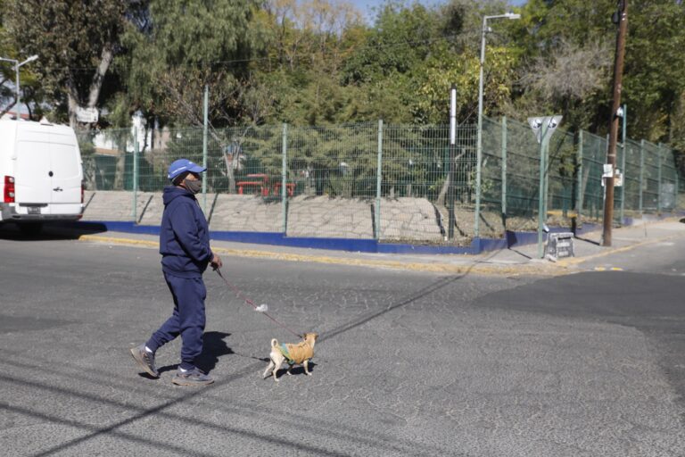 Impulsa Naucalpan espacios de interacción humano-animal