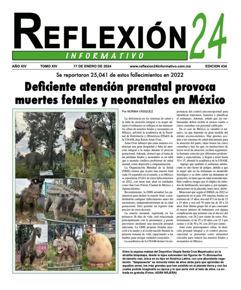 Reflexión 24 No 434 | Deficiente atención prenatal provoca muertes fetales y neonatales en México