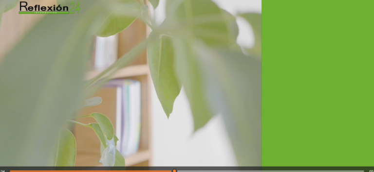 #Noticias #CápsulaR24 #Hoy #Nezahualcóyotl #Pirotecnia #Aguascalientes #LaKena  #RefugioMujeres #Huixquilucan #FestivalArteAtzán