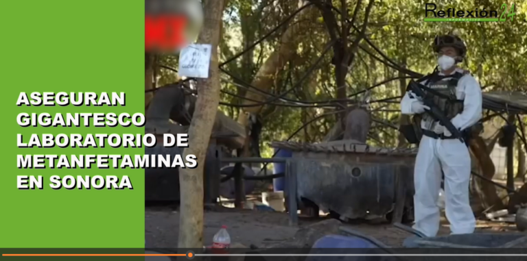 #Noticias #CápsulaR24 #Metanfetaminas #Sonora #ClaudiaSheinbaum #PVEM #AndrésSalas #Morelos #Peregrinos #BasílicaGuadalupe