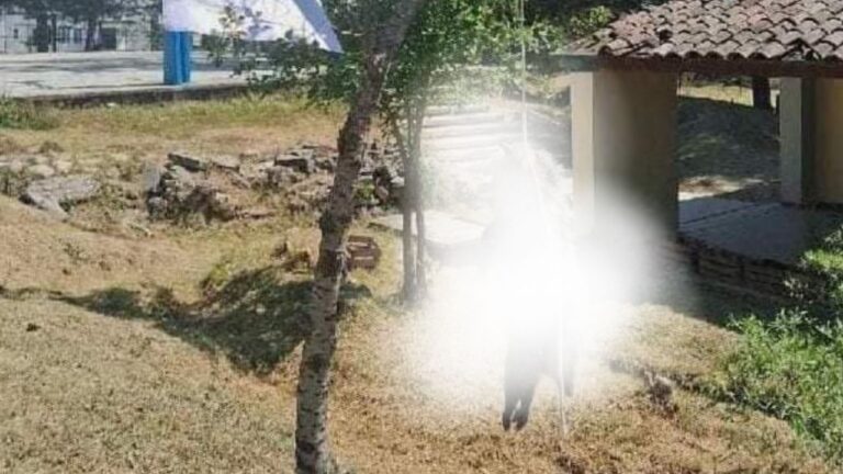 Fiscalía investiga presunto asesinato de tlacuache en Oaxaca