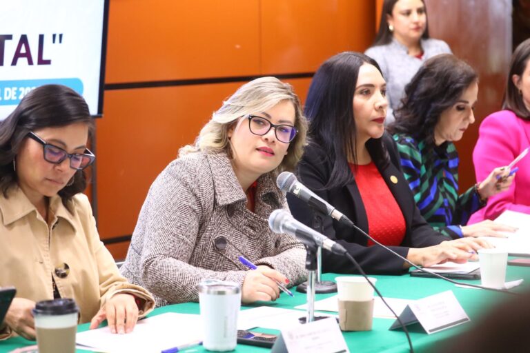 Julieta Vences pide garantizar derecho a la lactancia y licencia de maternidad para trabajadoras de la industria de la aviación