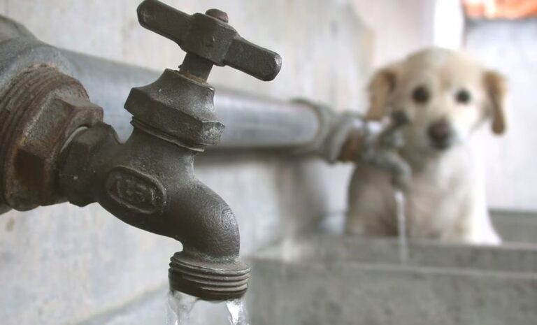 ¡Huixquilucan al borde de la sequía! El Grito silencioso de nuestros recursos hidricos