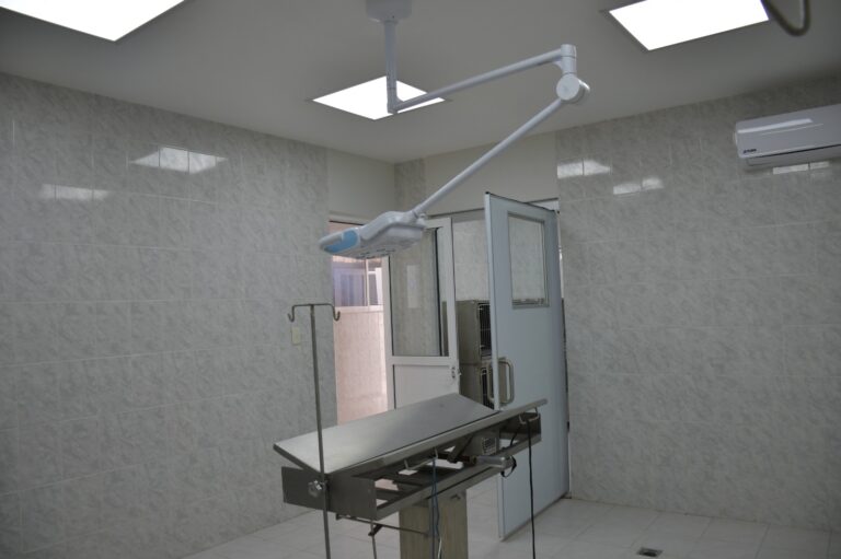 En marcha el primer refugio para animales víctimas de violencia de Nezahualcóyotl: Adolfo Cerqueda