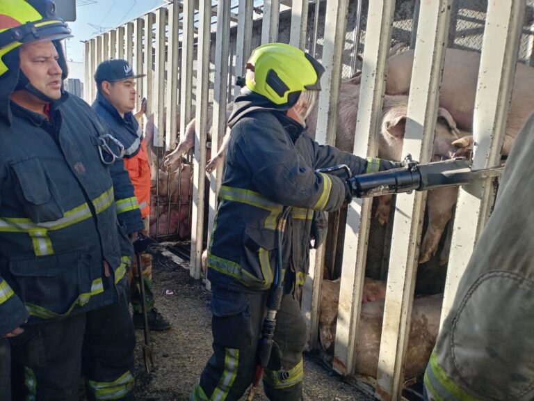 Apoyo del Gobierno de Cuautitlán Izcalli en Incidente del Circuito Exterior Mexiquense