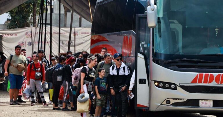 Están vigentes descuentos en autotransporte y trenes esta Semana Santa
