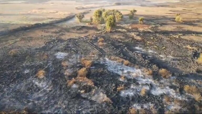 Vuelven a controlar incendio forestal en vaso regulador El Cristo, en Naucalpan