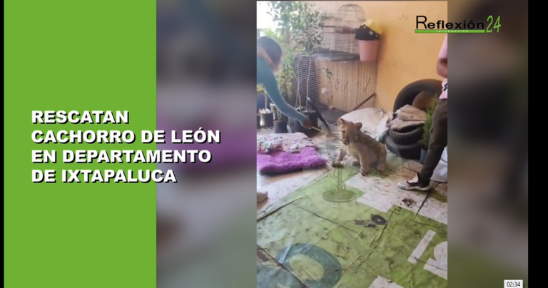 #Noticias #CápsulaR24 #Hoy #PatitosEnCabezas #LaChokiza #Ecatepec #SEMAR #CFE #Sinaloa #Chilpancingo