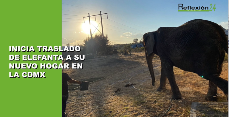 #Noticias #CápsulaR24 #Hoy #Yucatán #México #MonarquíaEspañola #AMLO #Senado #Tlalpan #GolpesDeCalor