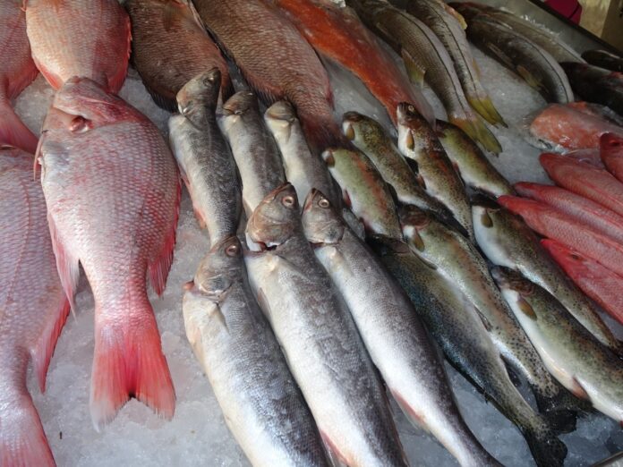 Secretaría de Agricultura garantiza abasto en Cuaresma
