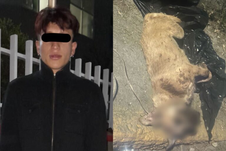 Policías de Ecatepec detienen a un sujeto que ahorcó a una perrita