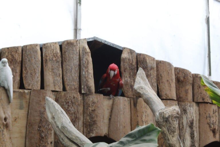 Tlalpan lanza ruta turística familiar