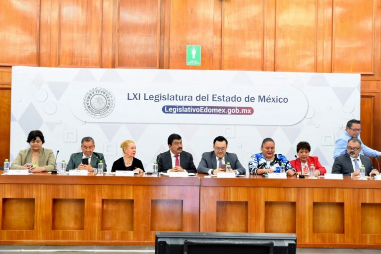 Consulta Congreso con personas con discapacidad nueva Ley de Movilidad