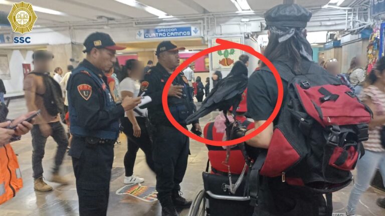 Desalojan a dos usuarios del Metro por transportar un cuervo