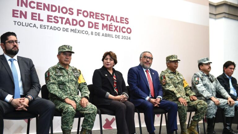 Incendios forestales consumen más de 15 mil hectáreas Edomex; Planean reforestar