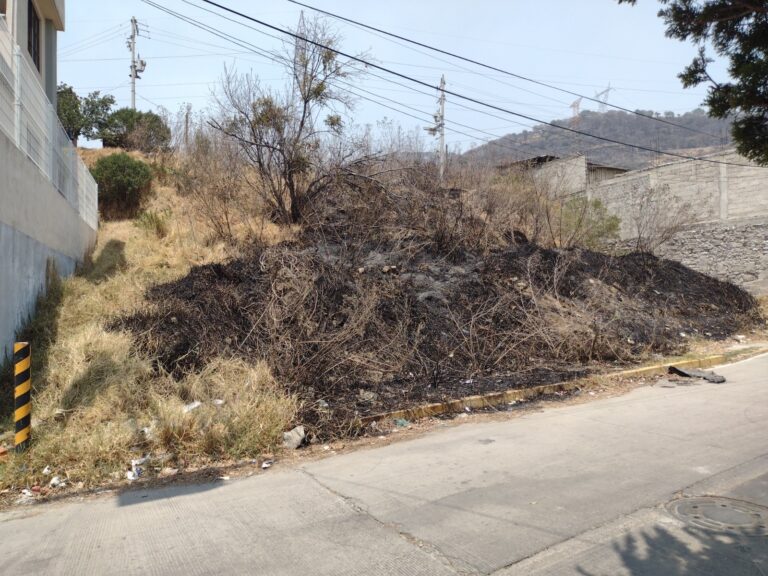 La Profepa emite dictamen al respecto del incendio en Naucalpan