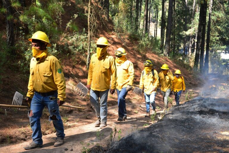 Despliegan acciones conjuntas contra Incendios en el Estado de México
