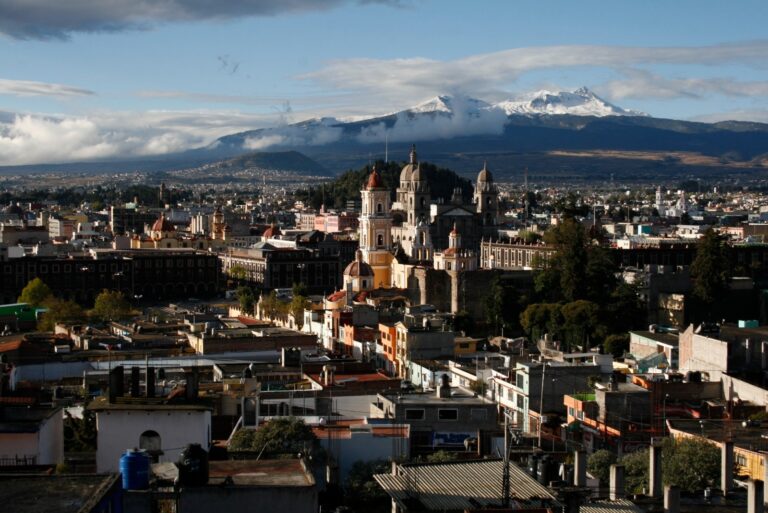 Exhorta Propaem a denunciar daños al medio ambiente y maltrato animal en Edomex