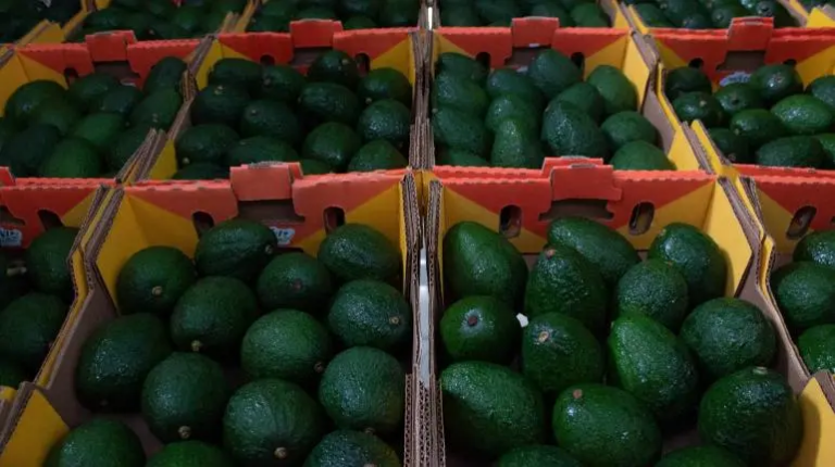 Balanza agro registra superávit de mil 492 millones de dólares