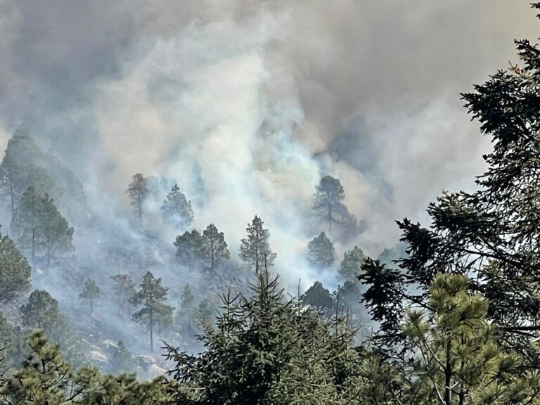 Seguimiento a incendios forestales en el Edoméx en la Mesa de Coordinación para la Construcción de la Paz