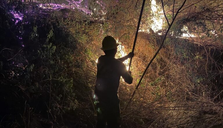 Se quedan sin clases en Acapulco y Chilpancingo por incendios