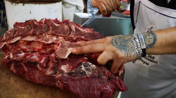 Rechaza Sader ingreso de mil 463 embarques de alimentos por detectar 258 plagas