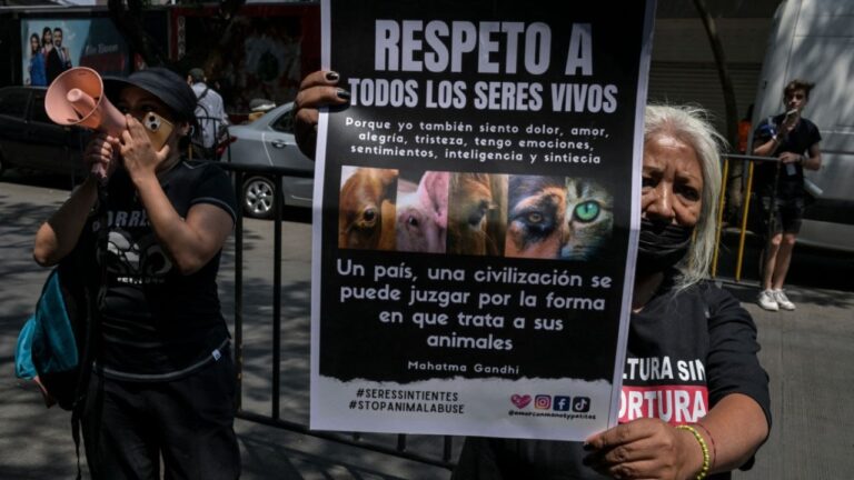 Ordenan sancionar a senador de Morena por sacrificar gallina en ritual