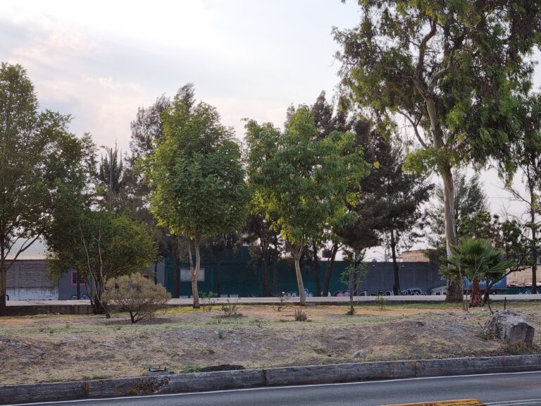 ¿Habrá Doble Hoy No Circula 27 de mayo 2024? ¿Qué autos descansan por contingencia?