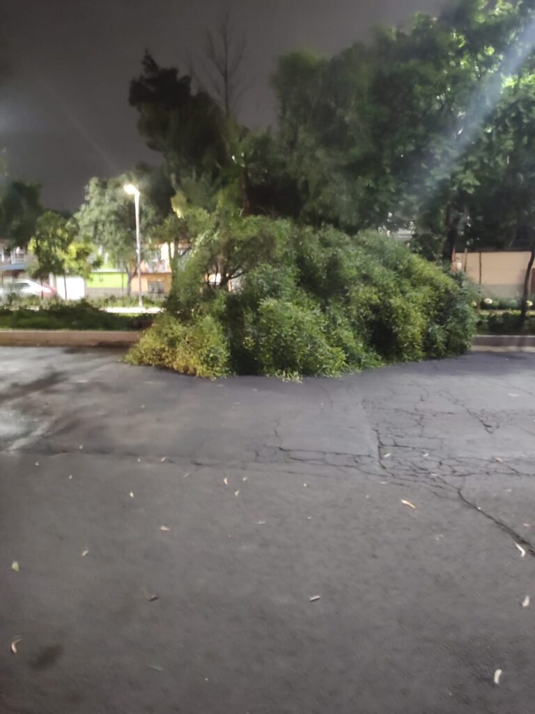 Policías, bomberos y protección civil de Nezahualcóyotl atendieron incidentes derivados de las lluvias y ráfagas de viento registrados durante la noche