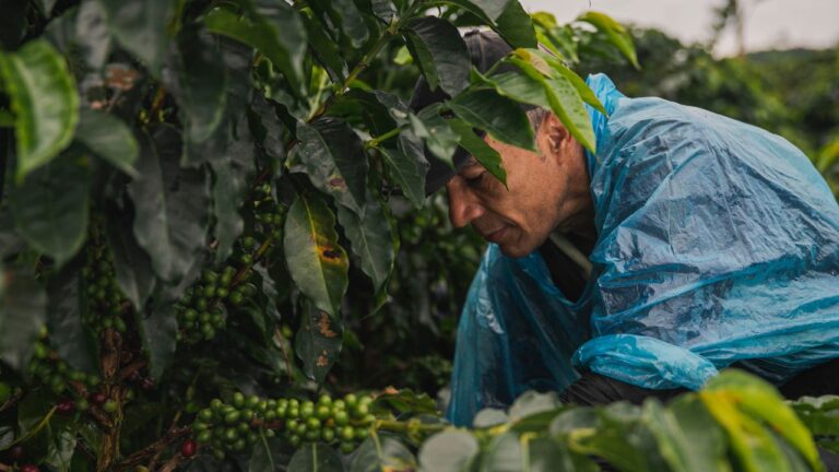 CEO de Nestlé en Latam prepara nueva inversión en México; campesinos acusan abusos de la trasnacional