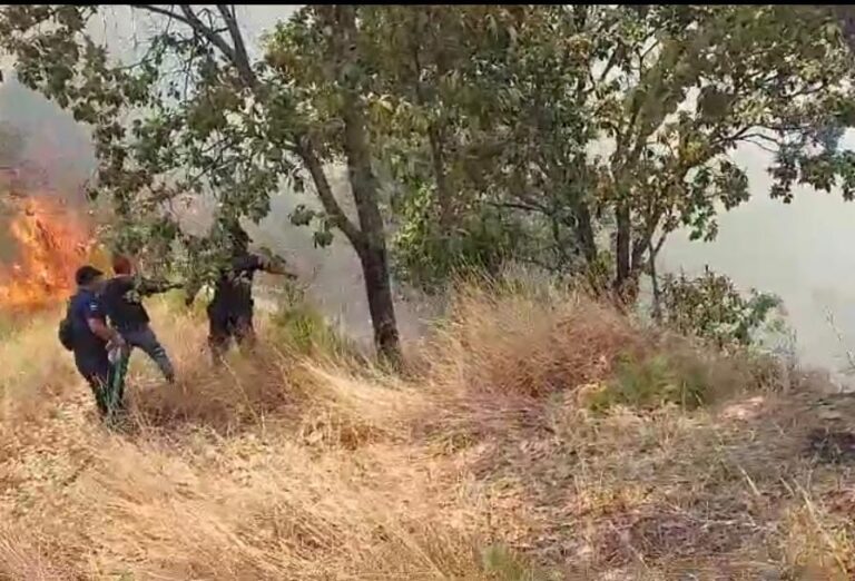 Brigadas reportan un avance de 80 por ciento de control de los incendios forestales en Luvianos y Tejupilco