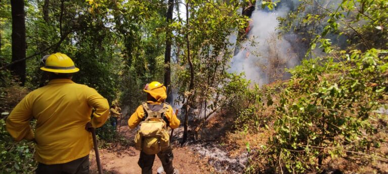 Bajo control tres incendios forestales en Valle de Bravo: informa Gobierno del Estado de México
