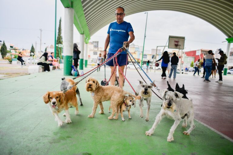 Las mascotas son parte de nuestra familia, en Izcalli tendremos mejores espacios para ellas: Karla Fiesco
