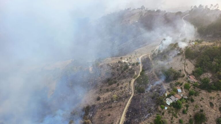 Incendio forestal en Zacatlán obliga a suspender clases en escuelas de Puebla
