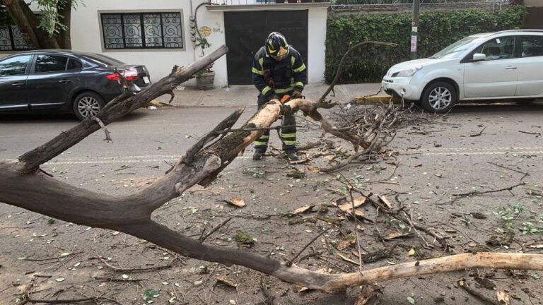 Activan alerta por vientos fuertes en CDMX