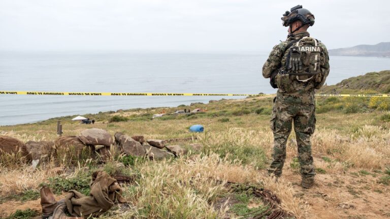 Dos surfistas australianos y uno estadounidense, asesinados a tiros en BC, confirma fiscalía