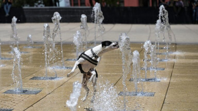 Van 61 muertes en México por altas temperaturas
