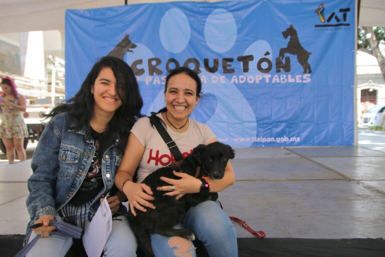 Tlalpan realizó con éxito el croquetón y la pasarela de adoptables