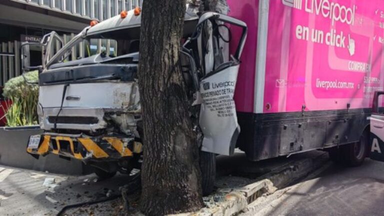Camión de carga da volantazo y choca contra un árbol en Periférico Sur