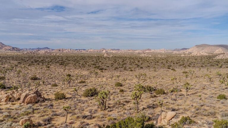 Localizan a tres migrantes que murieron deshidratados en el desierto de Sonora