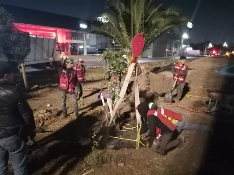 COMO PARTE DEL CAMBIO DE IMAGEN Y EMBELLECIMIENTO DE LOS ESPACIOS PÚBLICOS EN TLALNEPANTLA, EL PROYECTO ÁREA VERDE “OBELISCO” SE CONVERTIRÁ EN UN ESPACIO SUSTENTABLE Y VANGUARDISTA