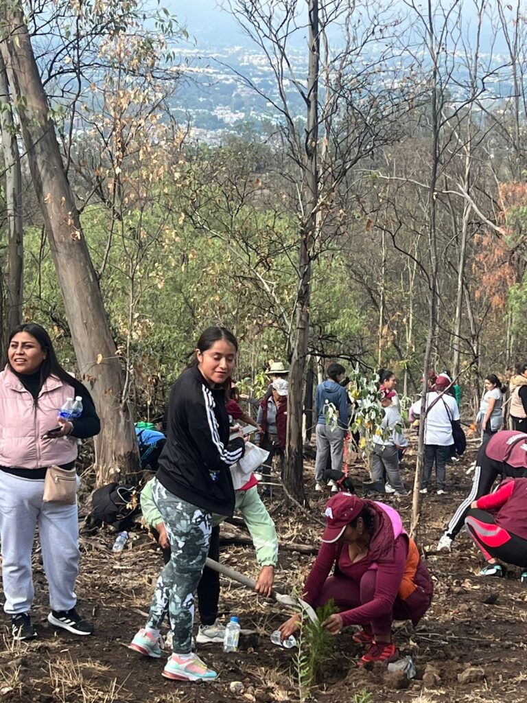 Aleida Alavez lidera reforestación del Cerro de la Estrella