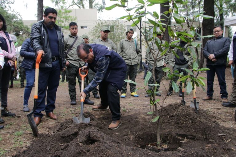 Tlalpan anuncia programa de Reforestación 2024