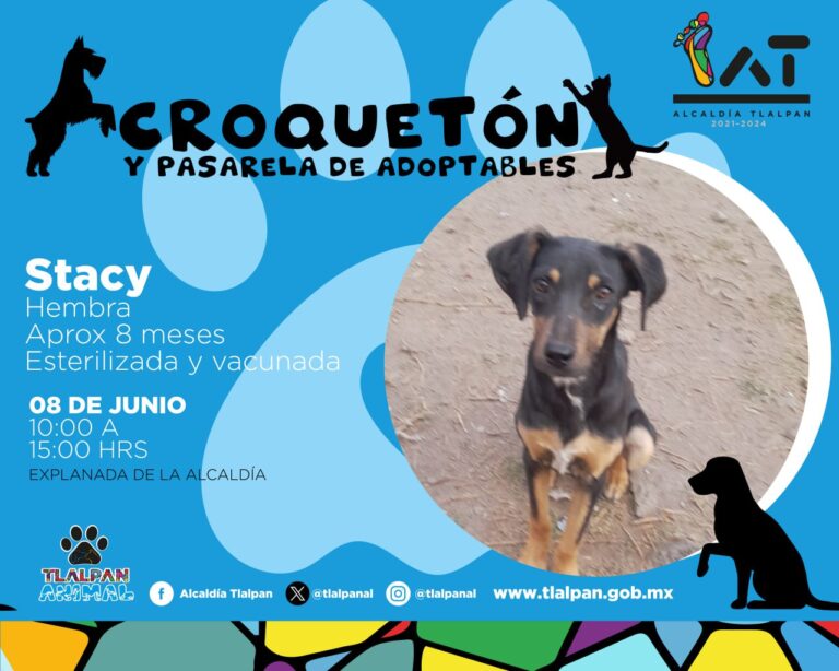 Tlalpan invita al croquetón y feria de adoptables